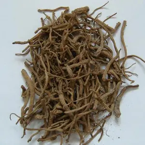 100gr Gui Wei - Ekor Angelica Sinensis (Oliv) Premium Grade