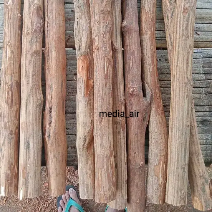 batang kayu Rasamala lurus 50cm batang dekorasi artificial aquascape