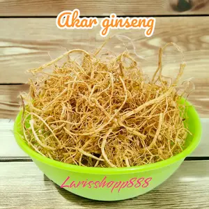 Akar Ginseng Premium 25gr/ Yang Shen Xu/ Yio Som Chiu LS