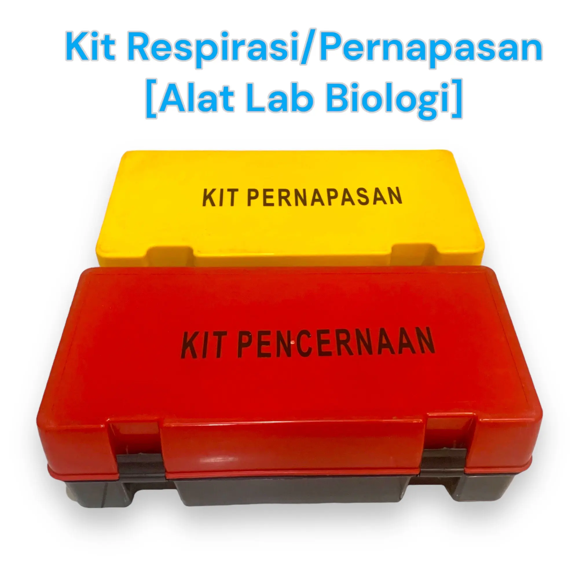 Kit respirasi/pernapasan | Kit pencernaan (Alat peraga ipa biologi)