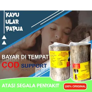 Kayu Ular Papua Asli Herbal Alami Tradisional Asli