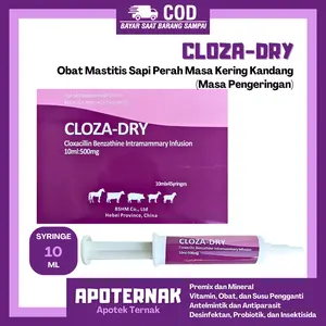 CLOZA DRY SYRINGE | Obat Mastitis Radang Ambing Sapi pada masa Kering