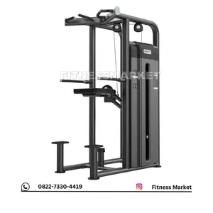 Dip Chin Assist DHZ U2009 Alat Fitness Fitnes  Import
