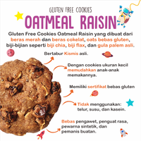 Gambar Paket Nola Gluten Free Oatmeal Raisin Cookies 1 Box Isi 15 Pcs dari VERLINOLA Kota Administrasi Jakarta Selatan 2 Tokopedia