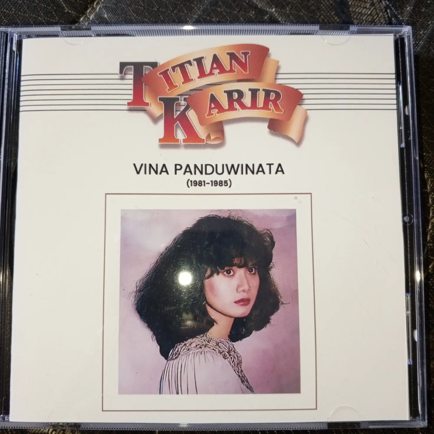 CD VINA PANDUWINATA TITIAN KARIR