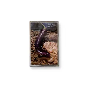 Kaset Jason Ranti - Blues Lendir