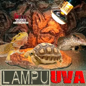 LAMPU SPOT UVA LAMP REPTILE KADAL TORTOISE TURTLE KURA KURA 25 WATT