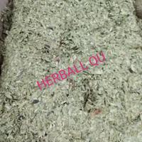 Gambar Daun Jati Cina Kering 500 gr dari hallokawanqu Kota Yogyakarta 1 Tokopedia