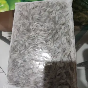 Udang rawa sungai sawah air tawar ukr kecil atau rebon pakan ikan supe