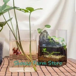 Aquarium Cupang / Akuarium Cupang / Toples Cupang / Soliter Cupang 2Lt