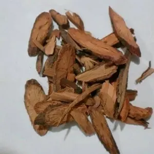 100 G GR GRAM YE JIAO SHOU WU TENG CAULIS POLYGONI FLEECEFLOWER STEM