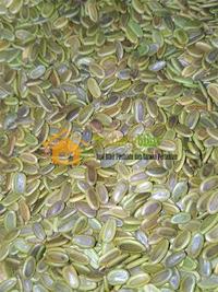 Gambar Benih albasia(sengon laut) dari PUROTANI.ID Kab. Purworejo 1 Tokopedia