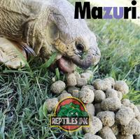 Gambar MAZURI Tortoise Diet 500gr / Pelet Makanan Kura Torto Darat dari ReptilesInc Kota Administrasi Jakarta Utara 4 Tokopedia