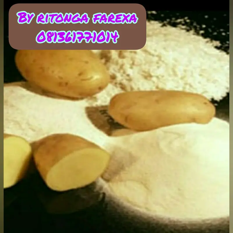 Potato Flakes / Tepung Kentang Kasar - 500 gram 3