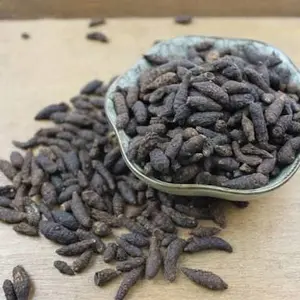 600 GR GRAM XIANG FU ZI UTUH NUTGRASS GALINGALE RHIZOME CYPERUS TUBER