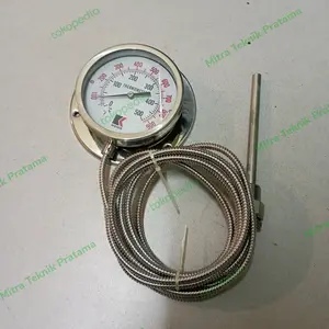 Thermometer Kapiler Cappilary Capillary 4 inchi 500 °C