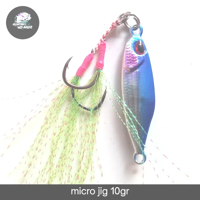 micro jig copy duo tetra 10gr 3