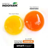 Gambar Telur Omega 3 Organik - INDOFARM Smart Eggs - Smart Eggs-Full Design dari INDOFARM JAKARTA SELATAN Kota Administrasi Jakarta Selatan 2 Tokopedia