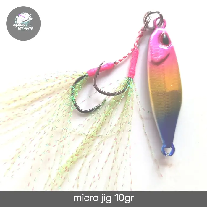 micro jig copy duo tetra 10gr 4