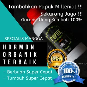 Pupuk Buah Mangga Paling Cepat Berbuah Extra Cepat Sekali