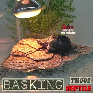 TR002B BASKING RAMP TURTLE BANK TEMPAT JEMUR KURA BRAZIL RES REPTILE