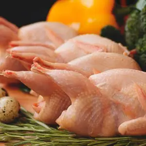daging burung puyuh 180-200 gr murah banget