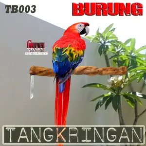 TB003 TENGGERAN BURUNG PARROT NURI PARKIT LB TEMPEL DINDING KAYU RESIN