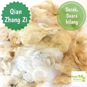 150 G GR GRAM QIAN ZHANG ZI DAUN KERTAS SERIBU