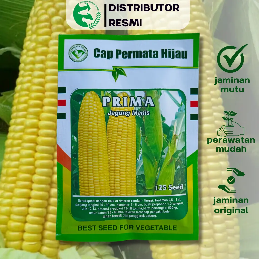 Benih Jagung Manis PRIMA 125 Seed Original Permata Hijau Besar Unggul