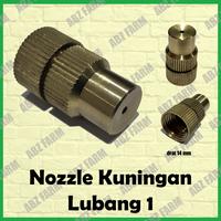 Gambar nozzle / spuyer sprayer elektrik kuningan 1 lubang dari AbZ Farm Kota Administrasi Jakarta Barat 1 Tokopedia
