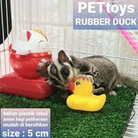 Gambar duck MAINAN HEWAN sugar glider hamster kelinci kucing anjing monyet dari charlotte bowtique Kota Administrasi Jakarta Barat 1 Tokopedia