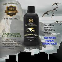 Gambar PARFUM BURUNG WALET AROMA PEMIKAT SUPER WALET 1 BOTOL 340ML - 250ml dari SWIFTLET OFFICIAL Kota Makassar 1 Tokopedia