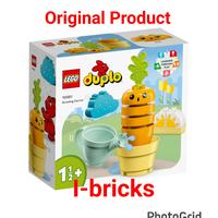 Gambar LEGO Duplo 10981 Growing Carrot dari I-Bricks Kota Administrasi Jakarta Utara 1 Tokopedia
