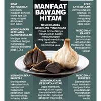 Gambar ASYIFA BLACK GARLIC KATING Herbal Diabetes Kanker Tumor Kolesterol dll dari Beliberkahstore Herbal Kota Bandar Lampung 5 Tokopedia