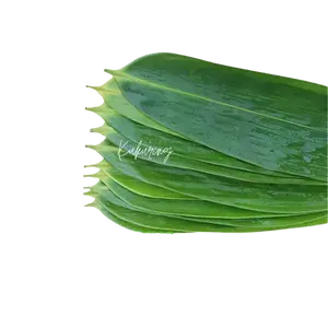 Daun Bambu Per ikat Untuk Bakcang Dan Kicang