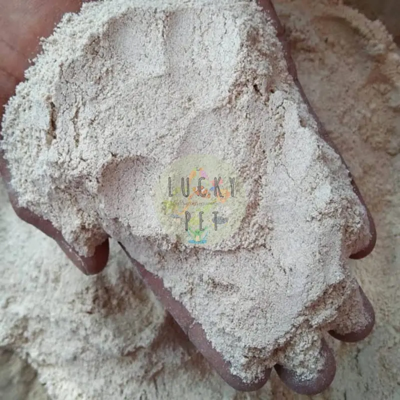 Dolomit gecko alas bedding kandang tokek rumah gecko geko kadal reptil 3