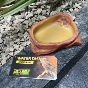 Exoterra waterdish feedingdish medium /reptile/tortoise/lizard