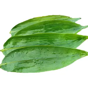 DAUN BAMBU SEGAR PILIHAN BUNGKUS BACANG DAN HERBAL