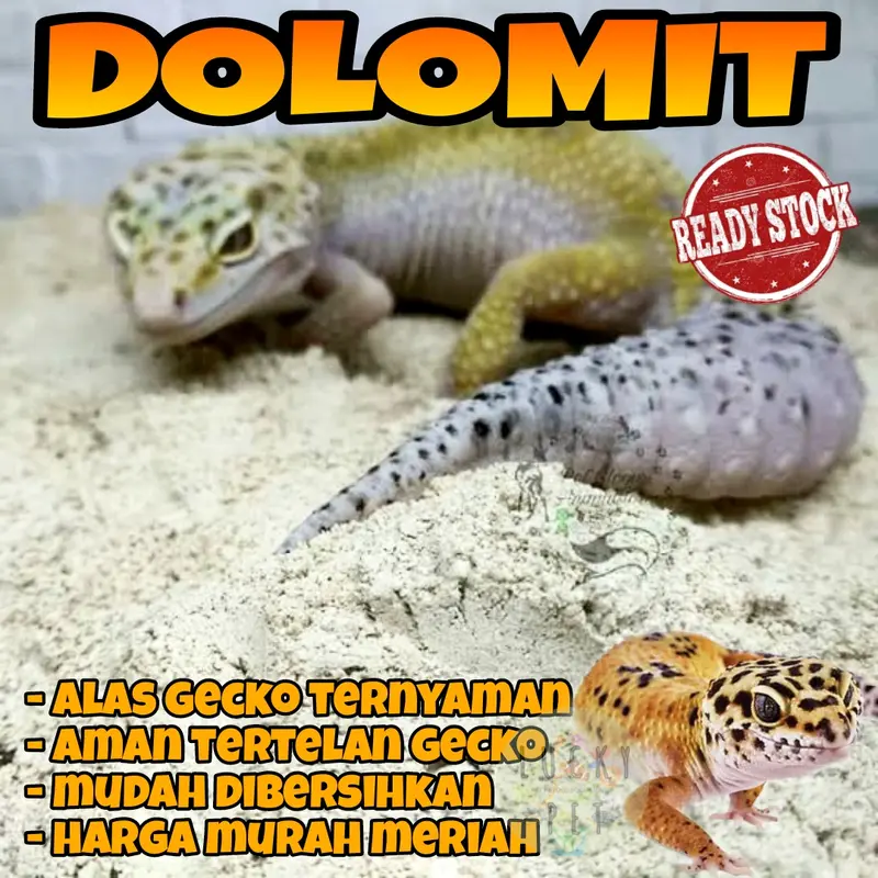 Dolomit gecko alas bedding kandang tokek rumah gecko geko kadal reptil 1