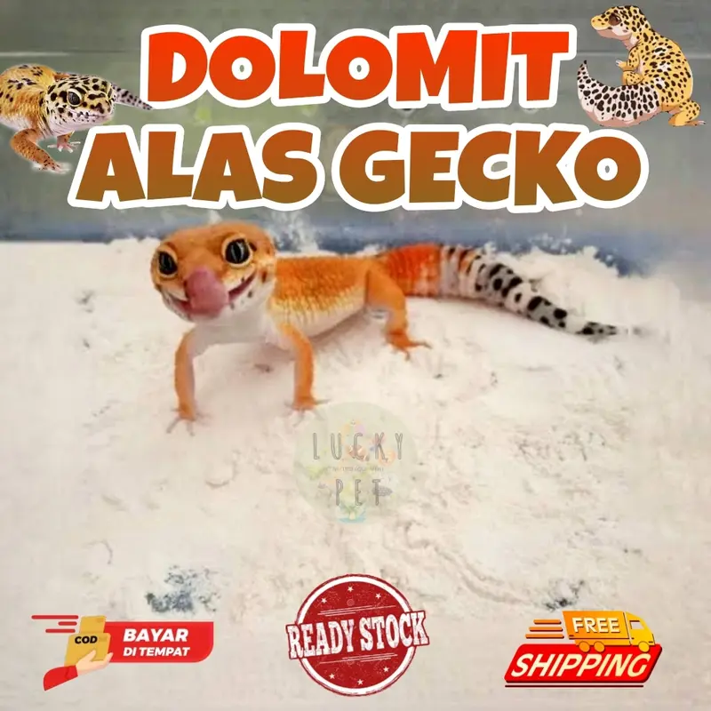 Dolomit gecko alas bedding kandang tokek rumah gecko geko kadal reptil 0