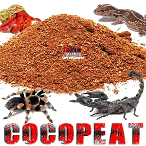 COCOPEAT ALAS KANDANG HEWAN REPTILE INSECTA TARANTULA KEONG KELOMANG