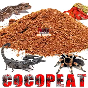 COCOPEAT ALAS SUBSTRAT KANDANG REPTILE KELOMANG TARANTULA KALAJENGKING