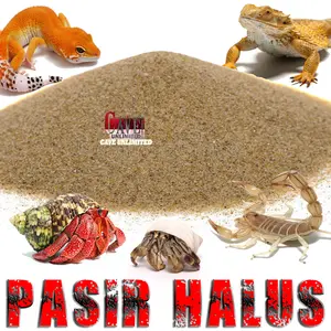 PASIR PANTAI HALUS SUBSTRAT ALAS KANDANG REPTILE GURUN KELOMANG KEONG