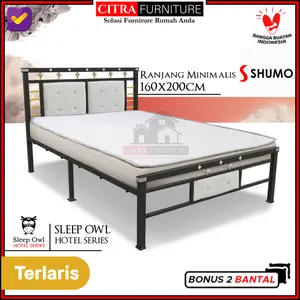 Ranjang Besi Minimalis |Dipan Besi |Rangka Tempat Tidur Springbed 160