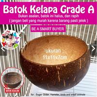 Gambar BATOK KELAPA GRADE A TEMPAT TIDUR SUGAR GLIDER TUPAI HAMSTER LANDAK dari charlotte bowtique Kota Administrasi Jakarta Barat 1 Tokopedia