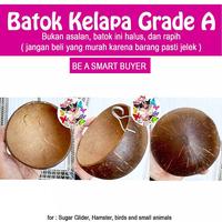 Gambar BATOK KELAPA GRADE A TEMPAT TIDUR SUGAR GLIDER TUPAI HAMSTER LANDAK dari charlotte bowtique Kota Administrasi Jakarta Barat 2 Tokopedia