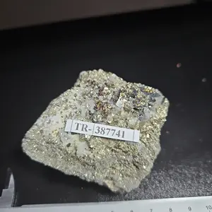 GOLDEN PYRITE Quartz Cluster