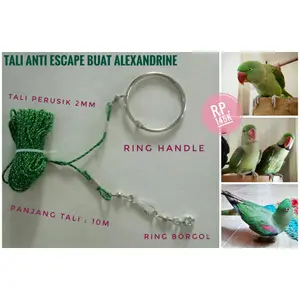 Tali Anti Escape buat Latih FF burung Parrot Alexandrine