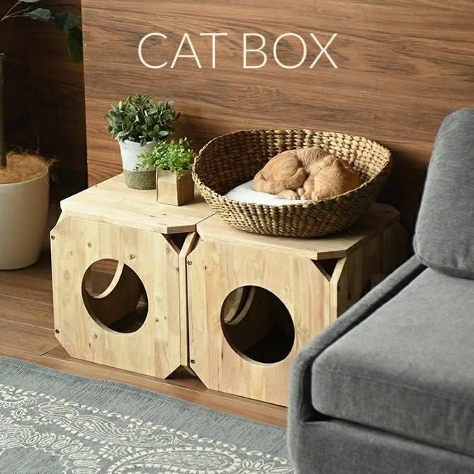 Box Kucing CAT BOX / KOTAK KUCING/ RUMAH KUCING PREMIUM BERKUALITAS - Shop | Tokopedia
