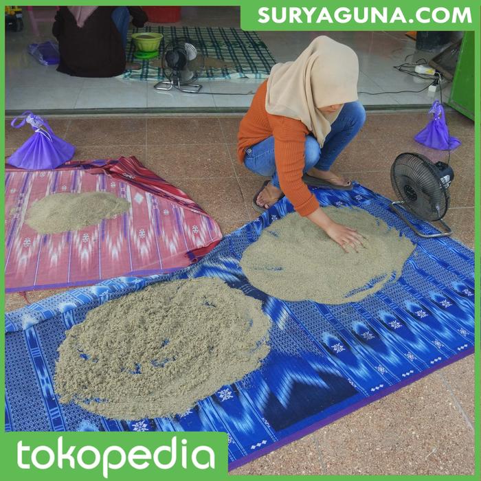 Gambar Jual Bibit Jangkrik Alam Berkualitas Kemasan 100 Gram dari Suryaguna Store Kab. Tulungagung Tokopedia